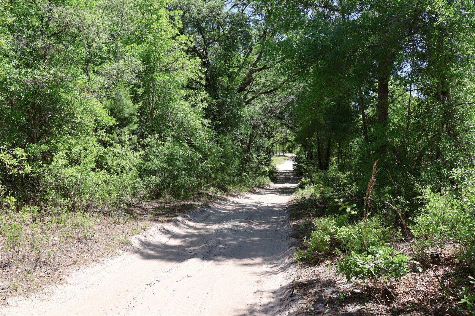 TBD SW 157TH LN, DUNNELLON, FL, 34432