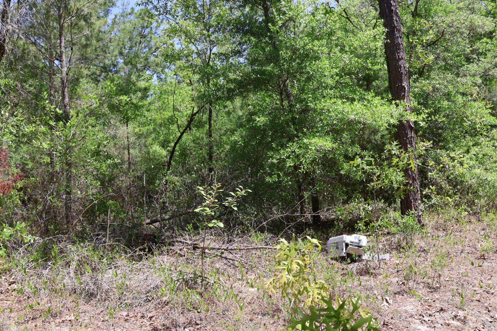 TBD SW 157TH LN, DUNNELLON, FL, 34432