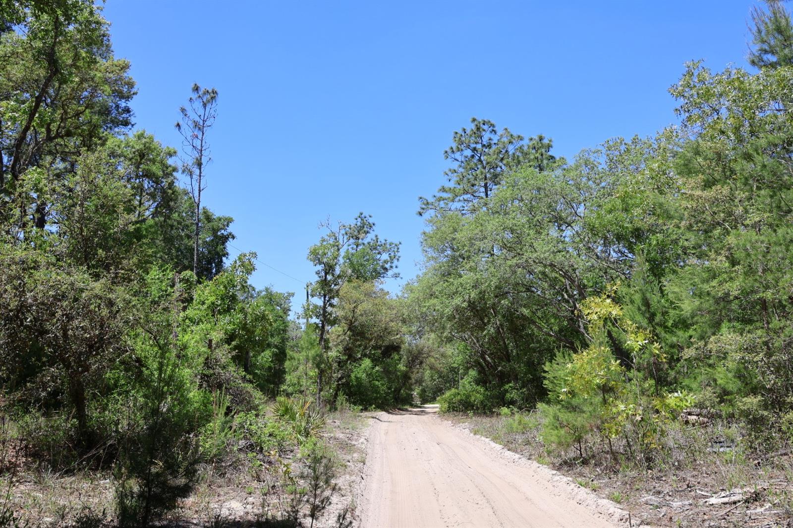 TBD SW 157TH LN, DUNNELLON, FL, 34432