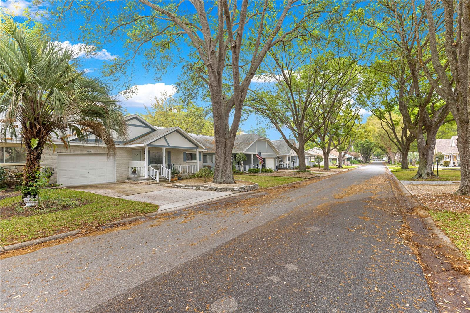 8519 SW 91ST ST #C, OCALA, FL, 34481