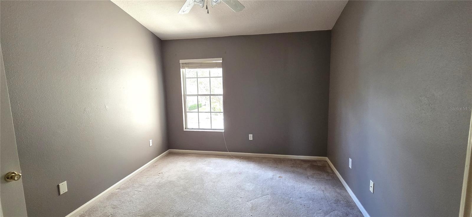 2729 CONCH HOLLOW DR, BRANDON, FL, 33511