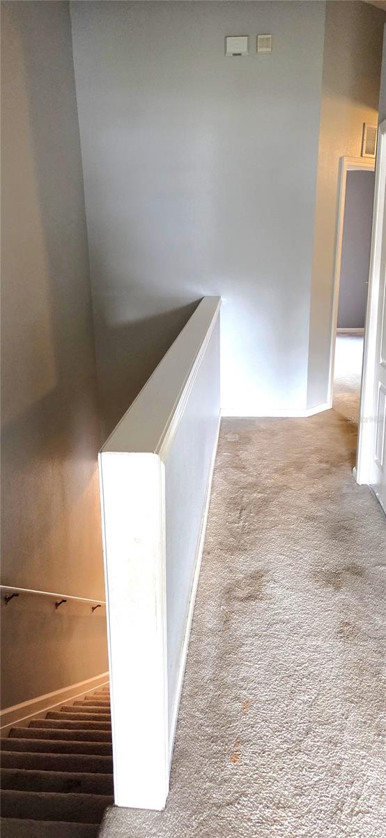 2729 CONCH HOLLOW DR, BRANDON, FL, 33511