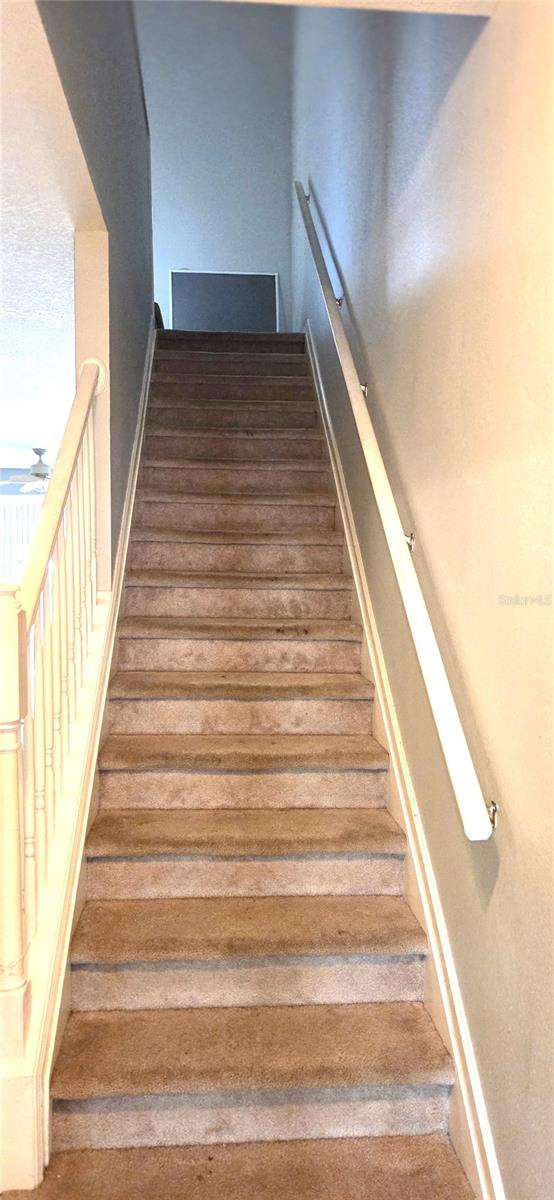 2729 CONCH HOLLOW DR, BRANDON, FL, 33511