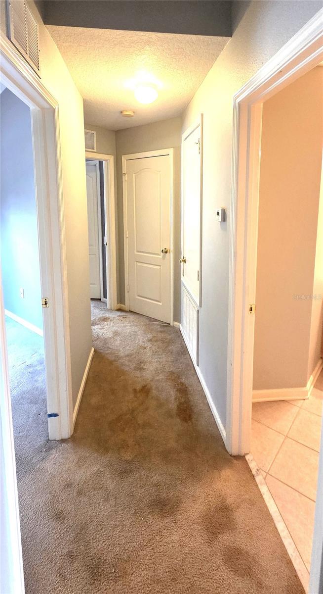 2729 CONCH HOLLOW DR, BRANDON, FL, 33511