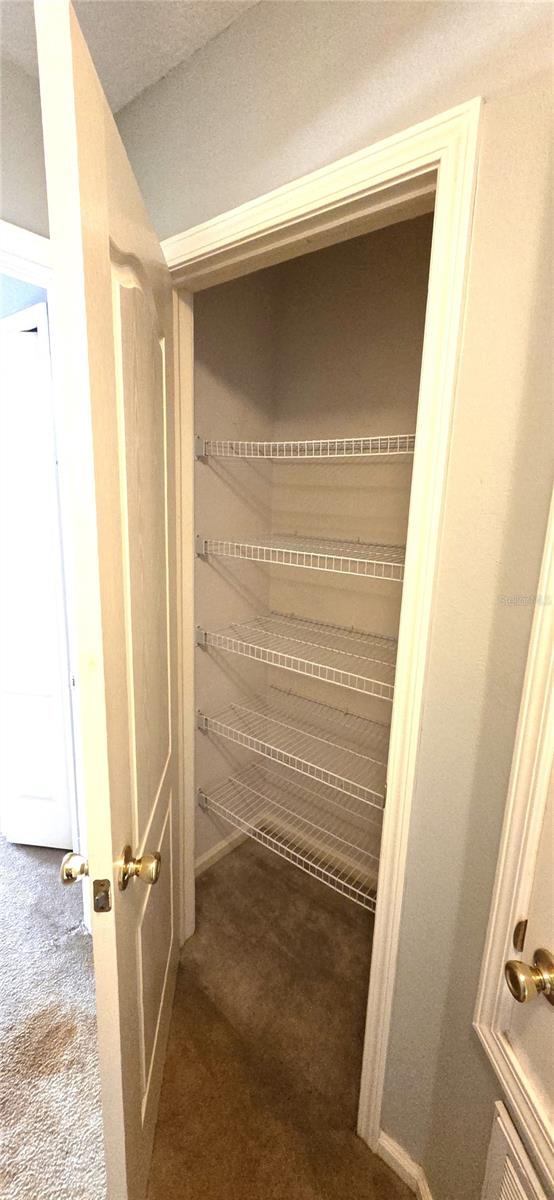 2729 CONCH HOLLOW DR, BRANDON, FL, 33511