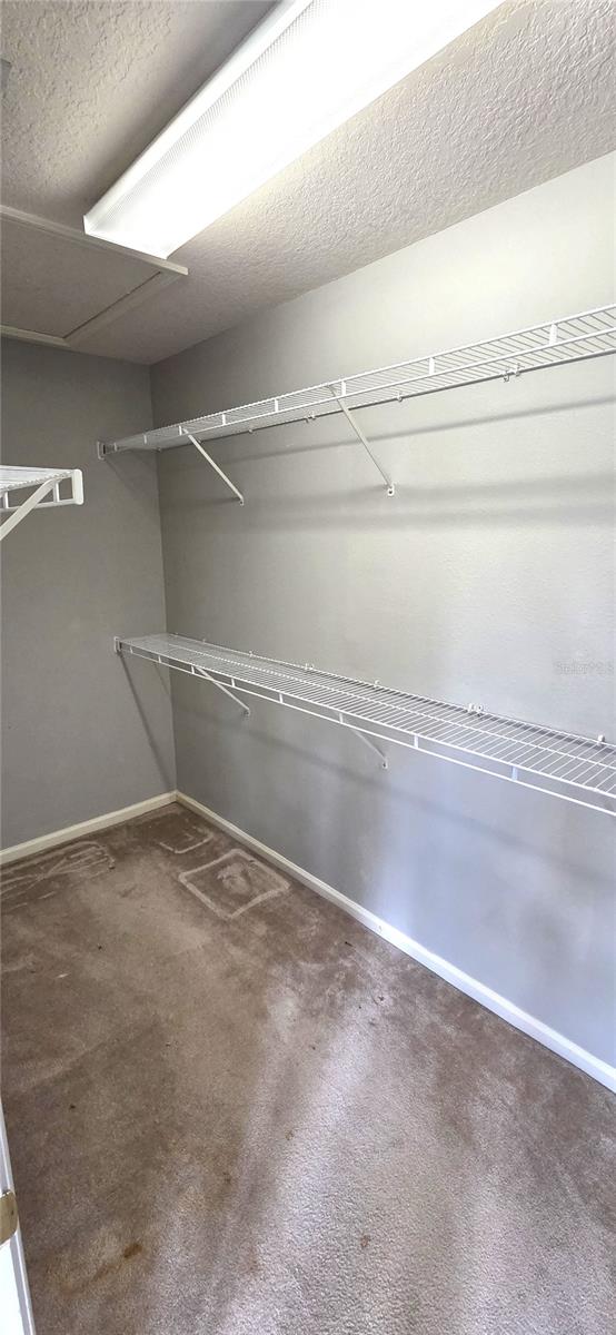 2729 CONCH HOLLOW DR, BRANDON, FL, 33511