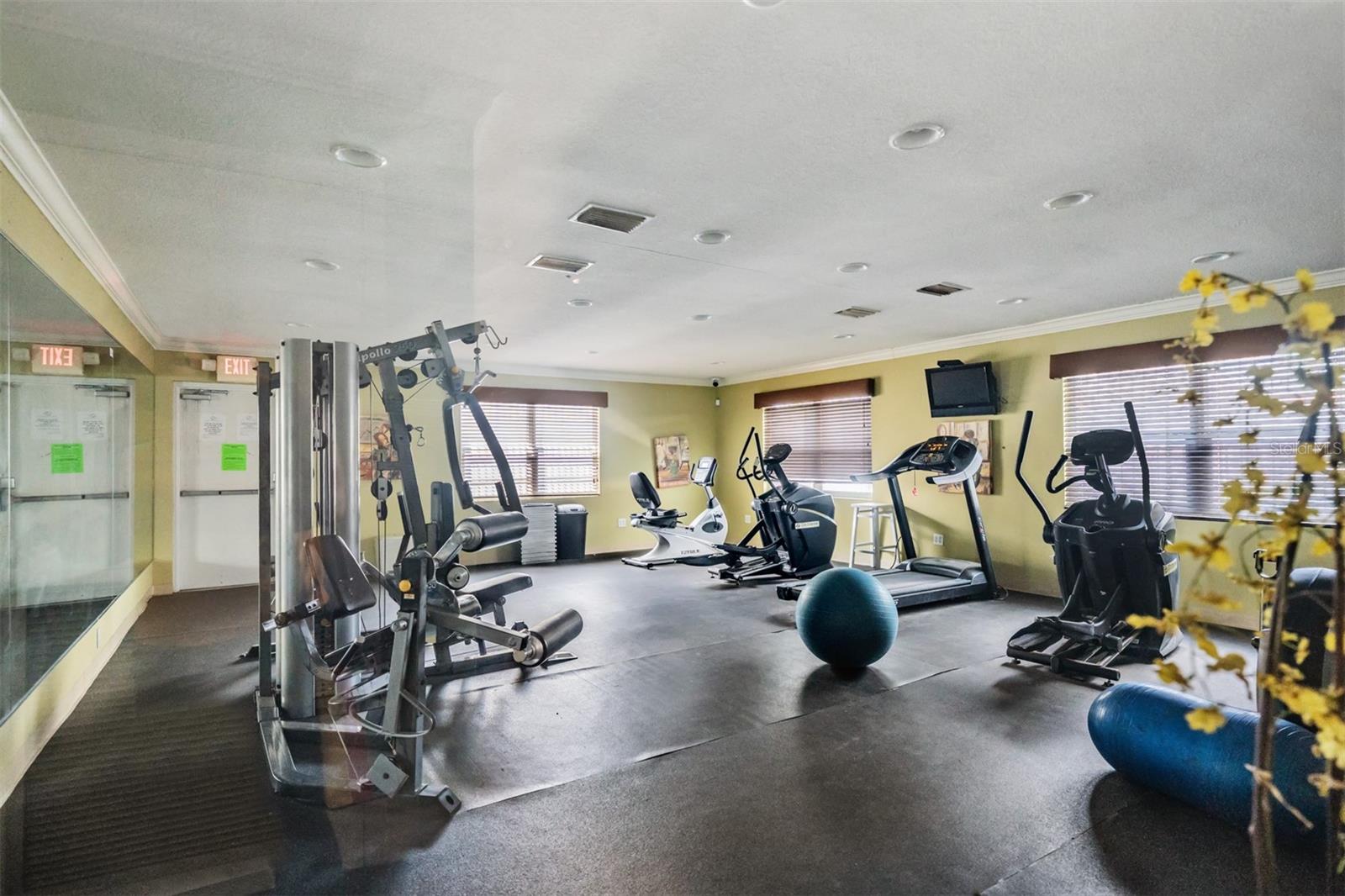 7210 N MANHATTAN AVE #1913, TAMPA, FL, 33614