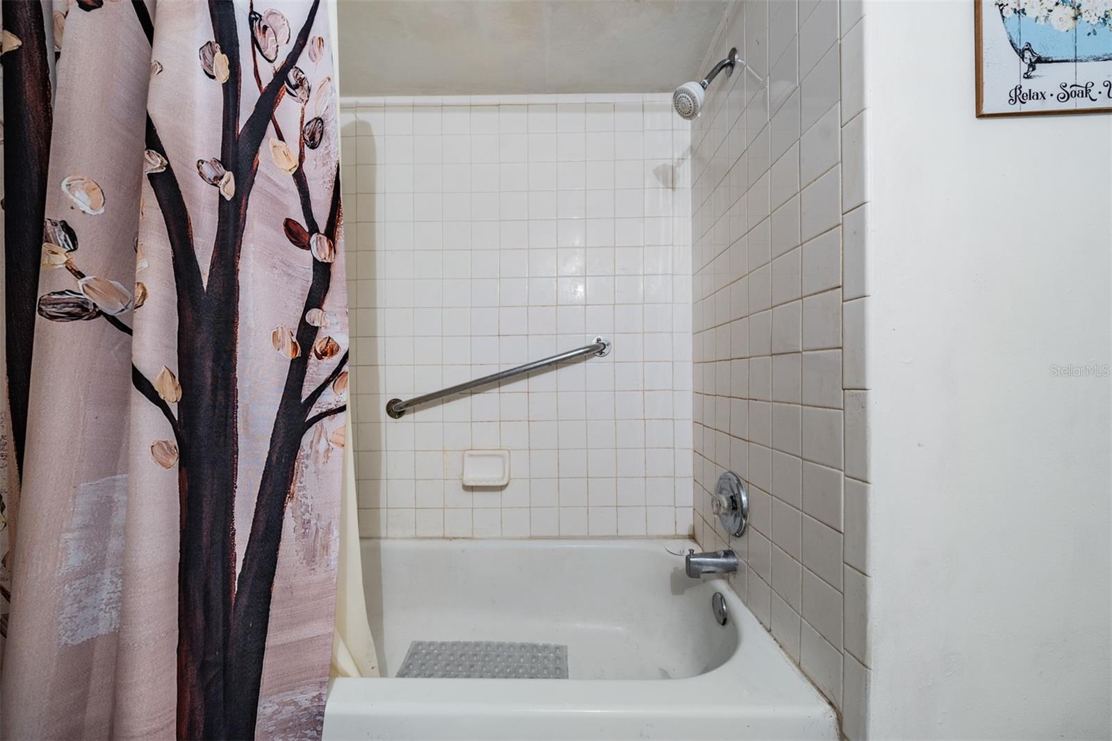 7210 N MANHATTAN AVE #1913, TAMPA, FL, 33614