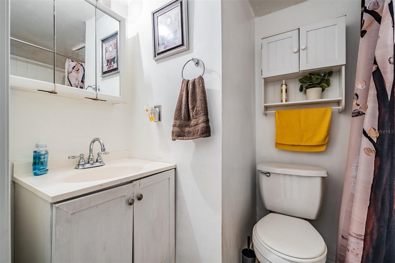 7210 N MANHATTAN AVE #1913, TAMPA, FL, 33614