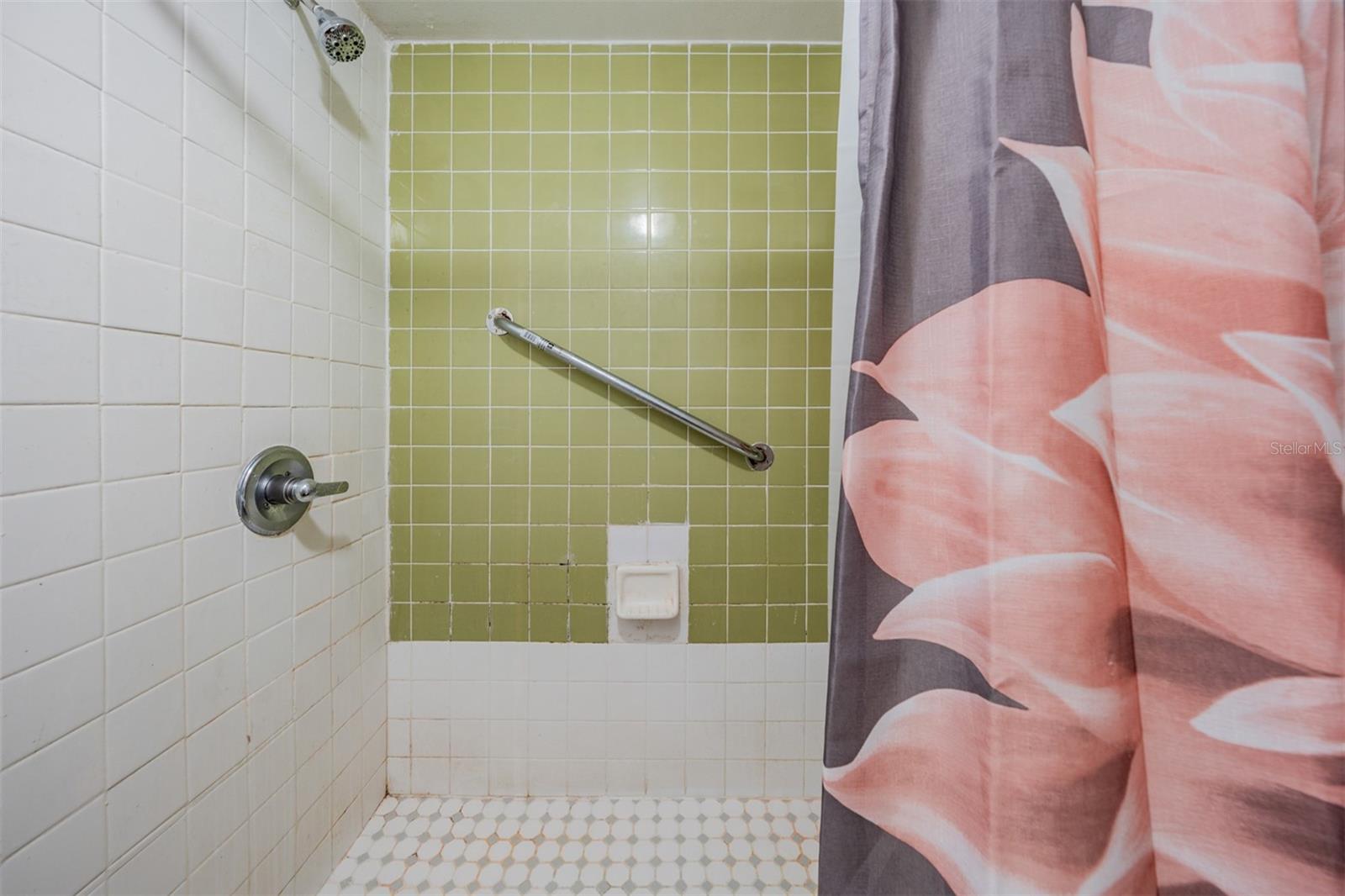 7210 N MANHATTAN AVE #1913, TAMPA, FL, 33614