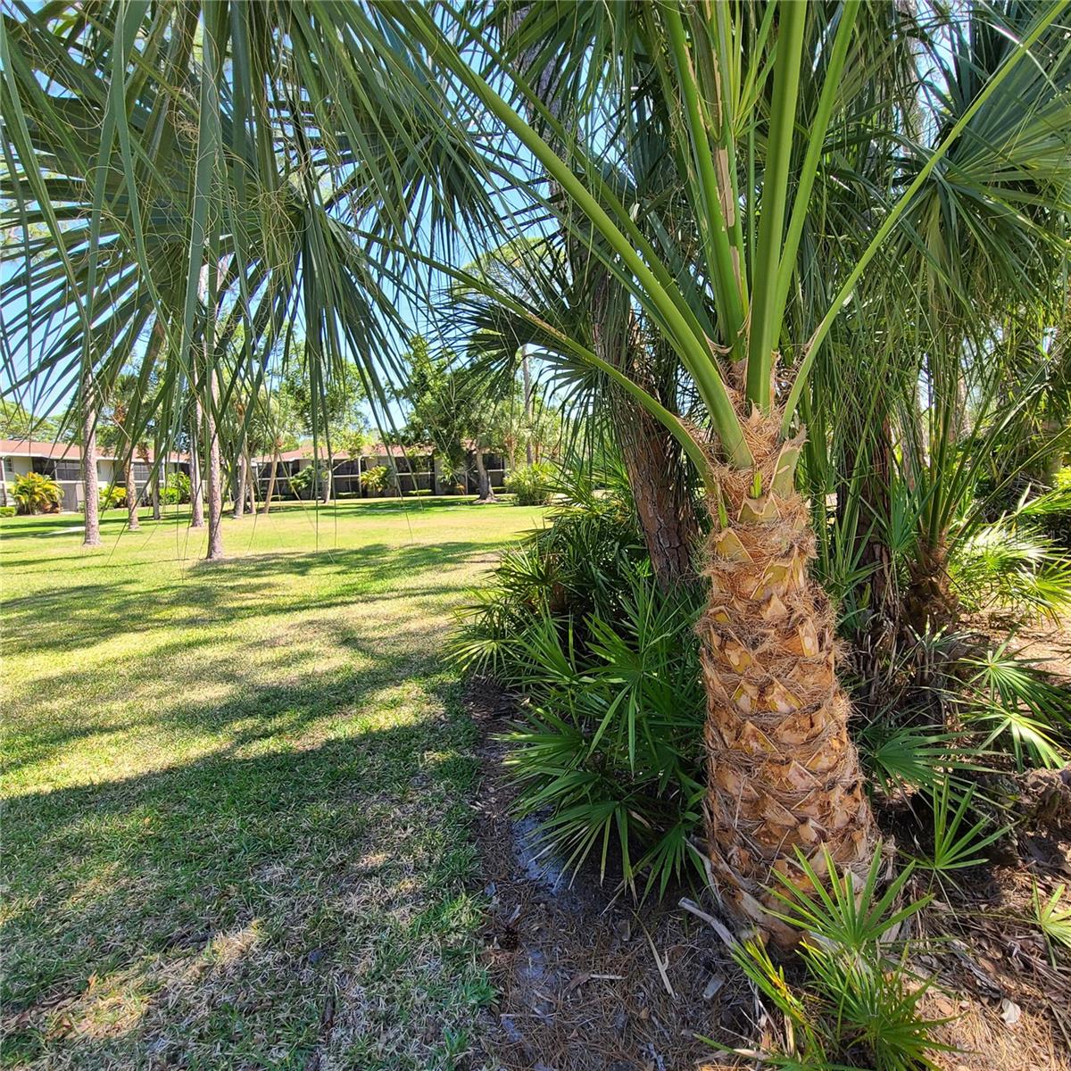 924 LA COSTA CIR #4, SARASOTA, FL, 34237