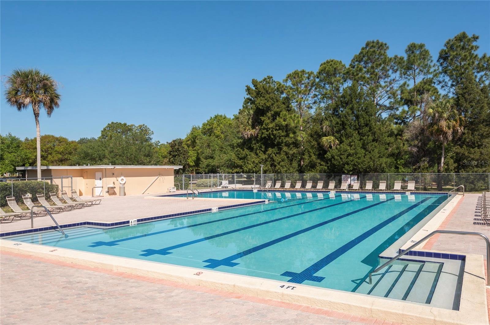 915 ROLLING HILLS DR, PALM HARBOR, FL, 34683