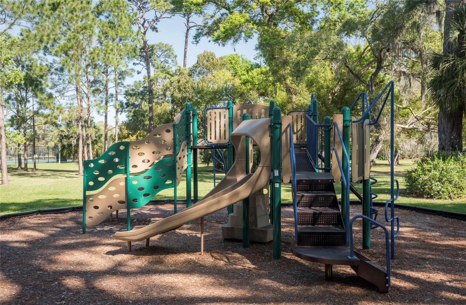 915 ROLLING HILLS DR, PALM HARBOR, FL, 34683