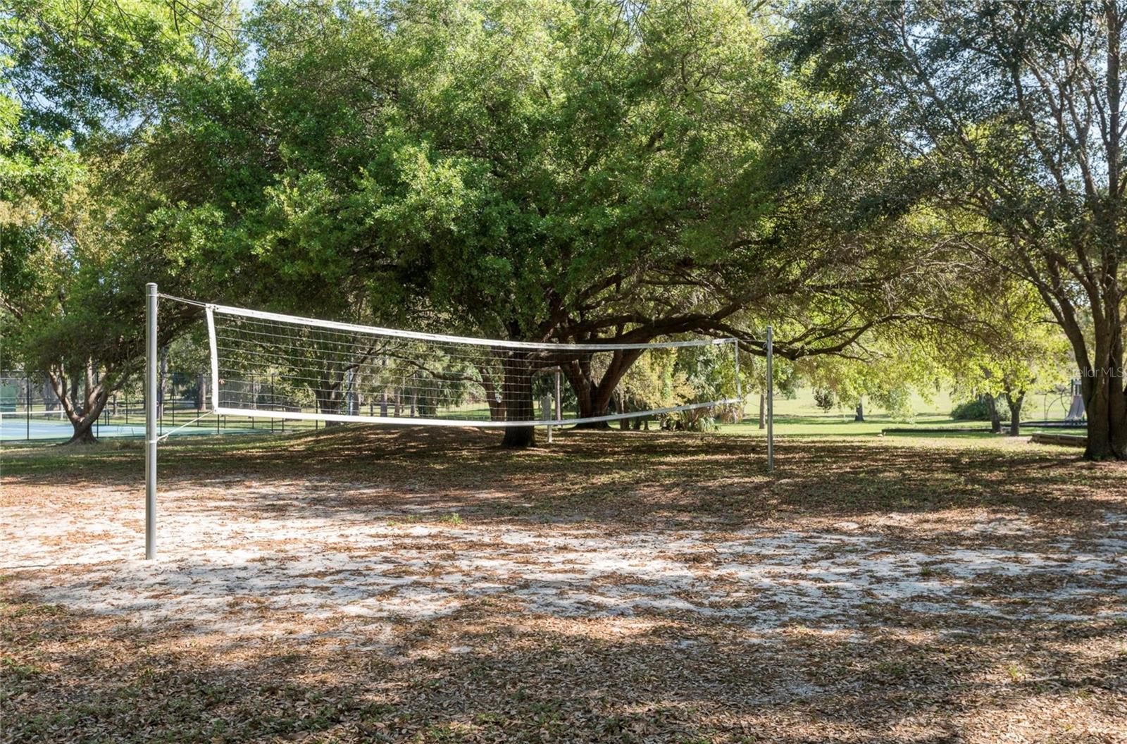 915 ROLLING HILLS DR, PALM HARBOR, FL, 34683