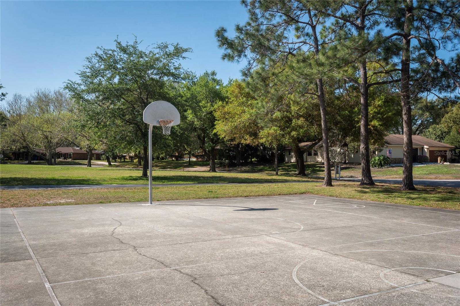 915 ROLLING HILLS DR, PALM HARBOR, FL, 34683