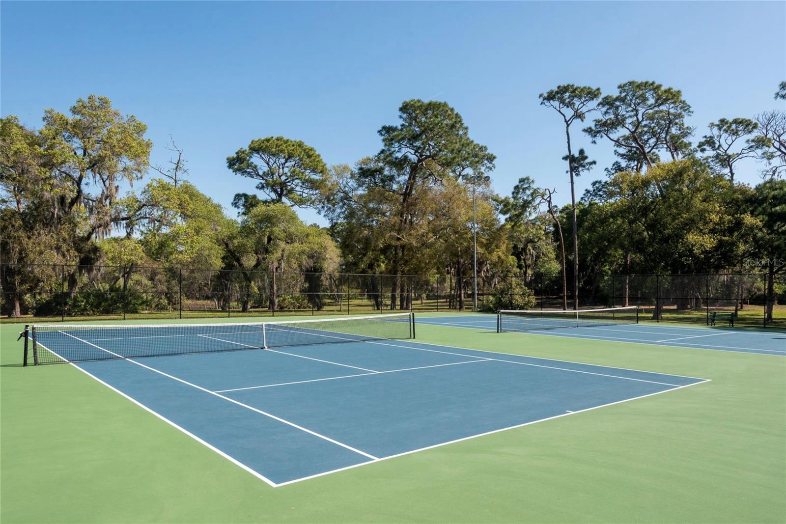 915 ROLLING HILLS DR, PALM HARBOR, FL, 34683