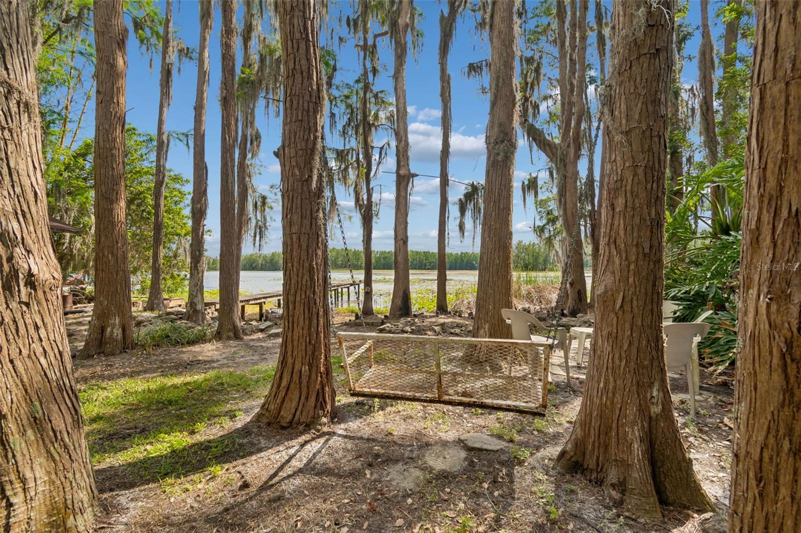 4743 SCHOOL RD, LAND O LAKES, FL, 34638