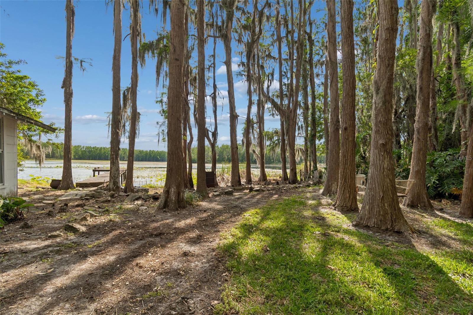 4743 SCHOOL RD, LAND O LAKES, FL, 34638