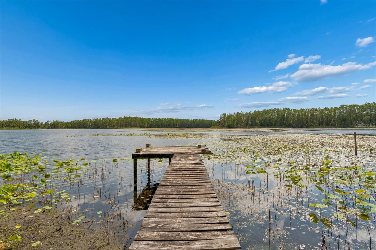 4743 SCHOOL RD, LAND O LAKES, FL, 34638