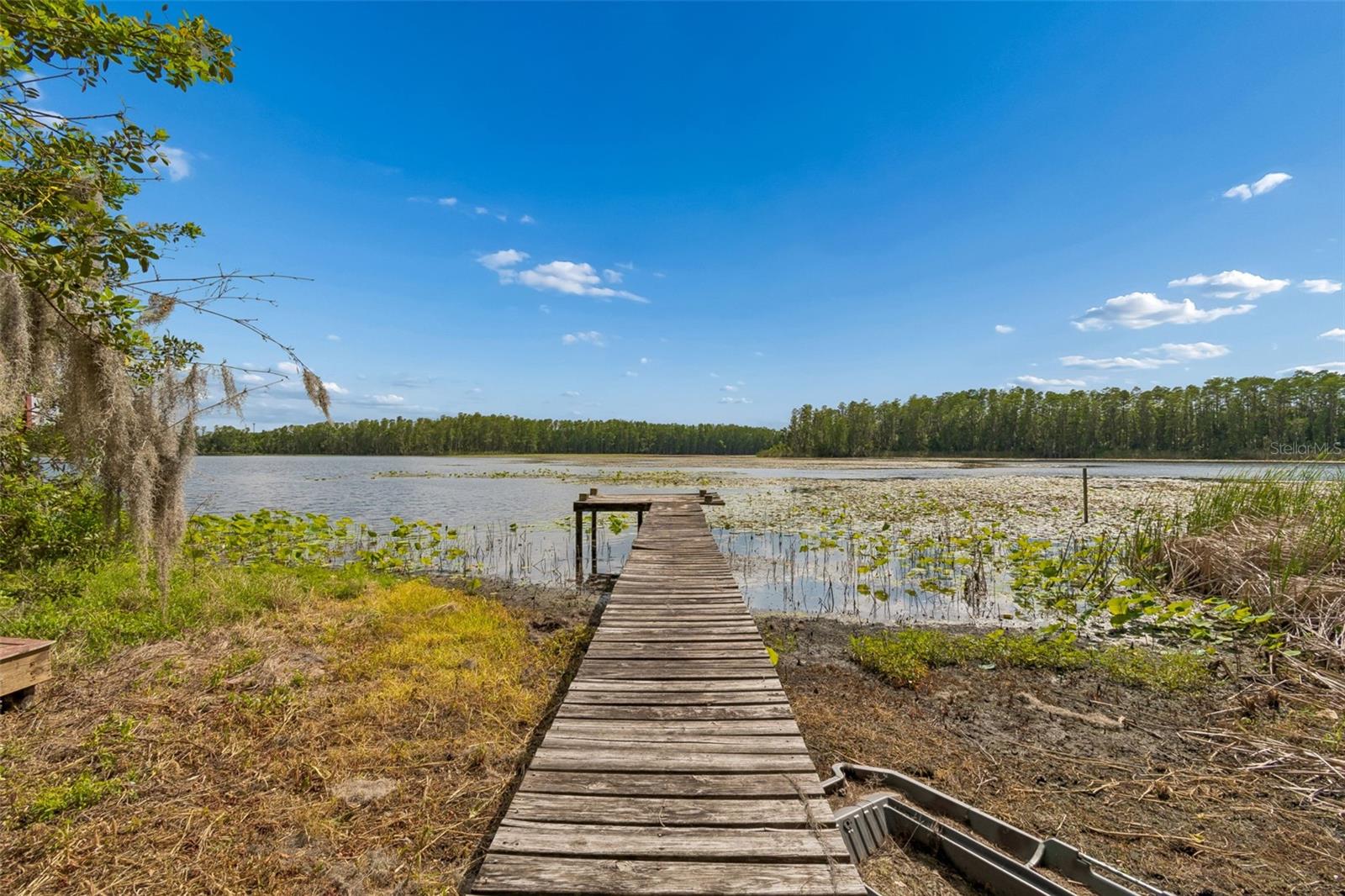 4743 SCHOOL RD, LAND O LAKES, FL, 34638