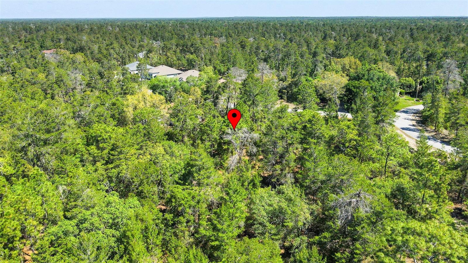 14 HEUCHERA CT E, HOMOSASSA, FL, 34446