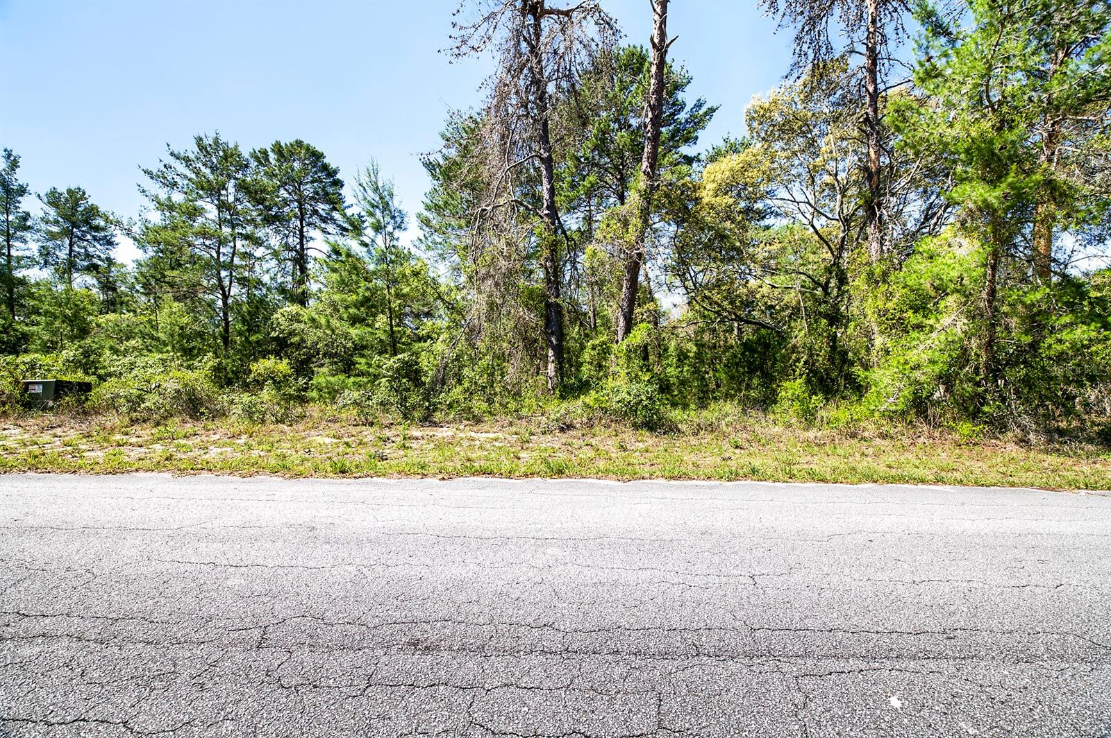 14 HEUCHERA CT E, HOMOSASSA, FL, 34446