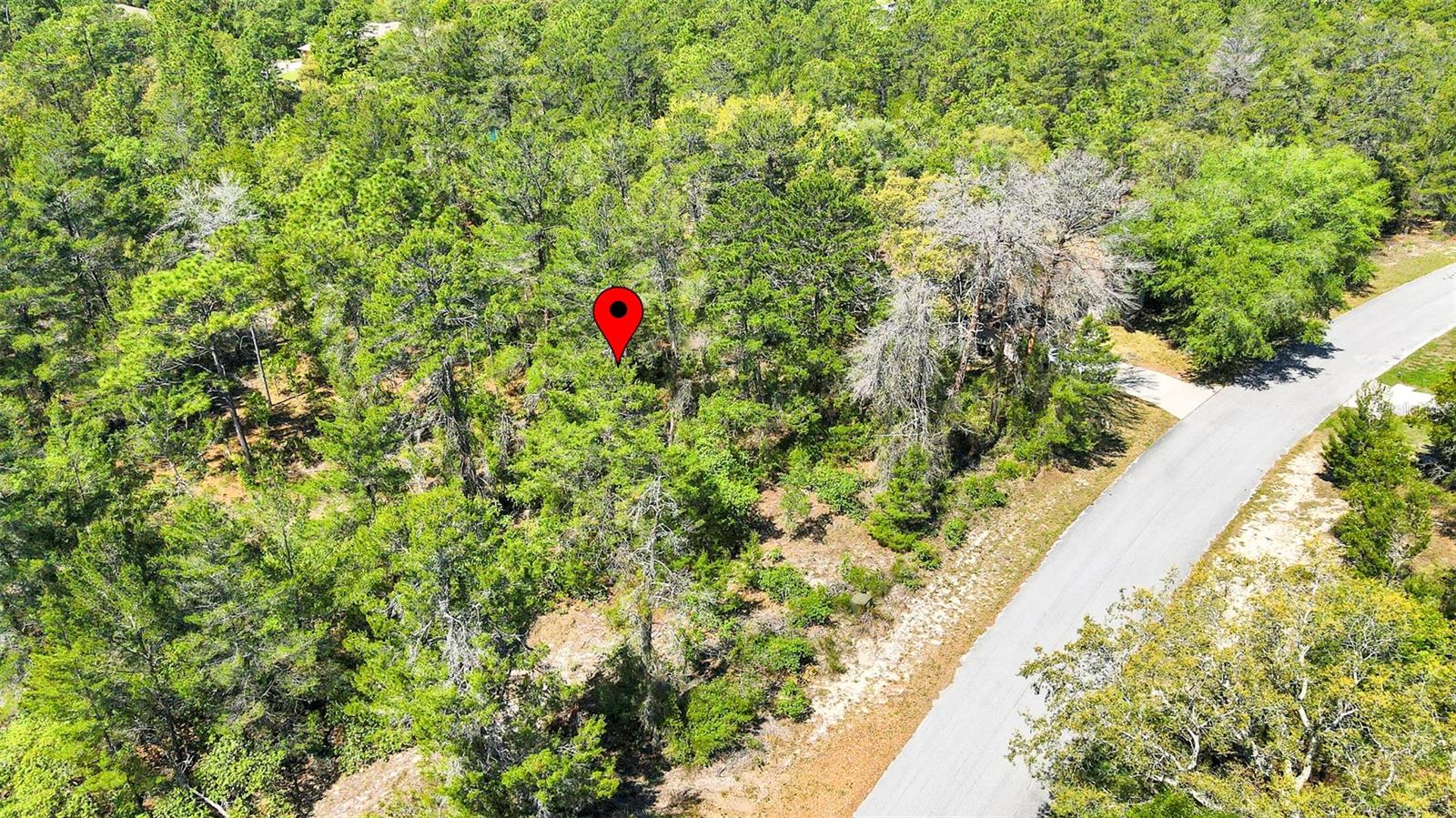 14 HEUCHERA CT E, HOMOSASSA, FL, 34446