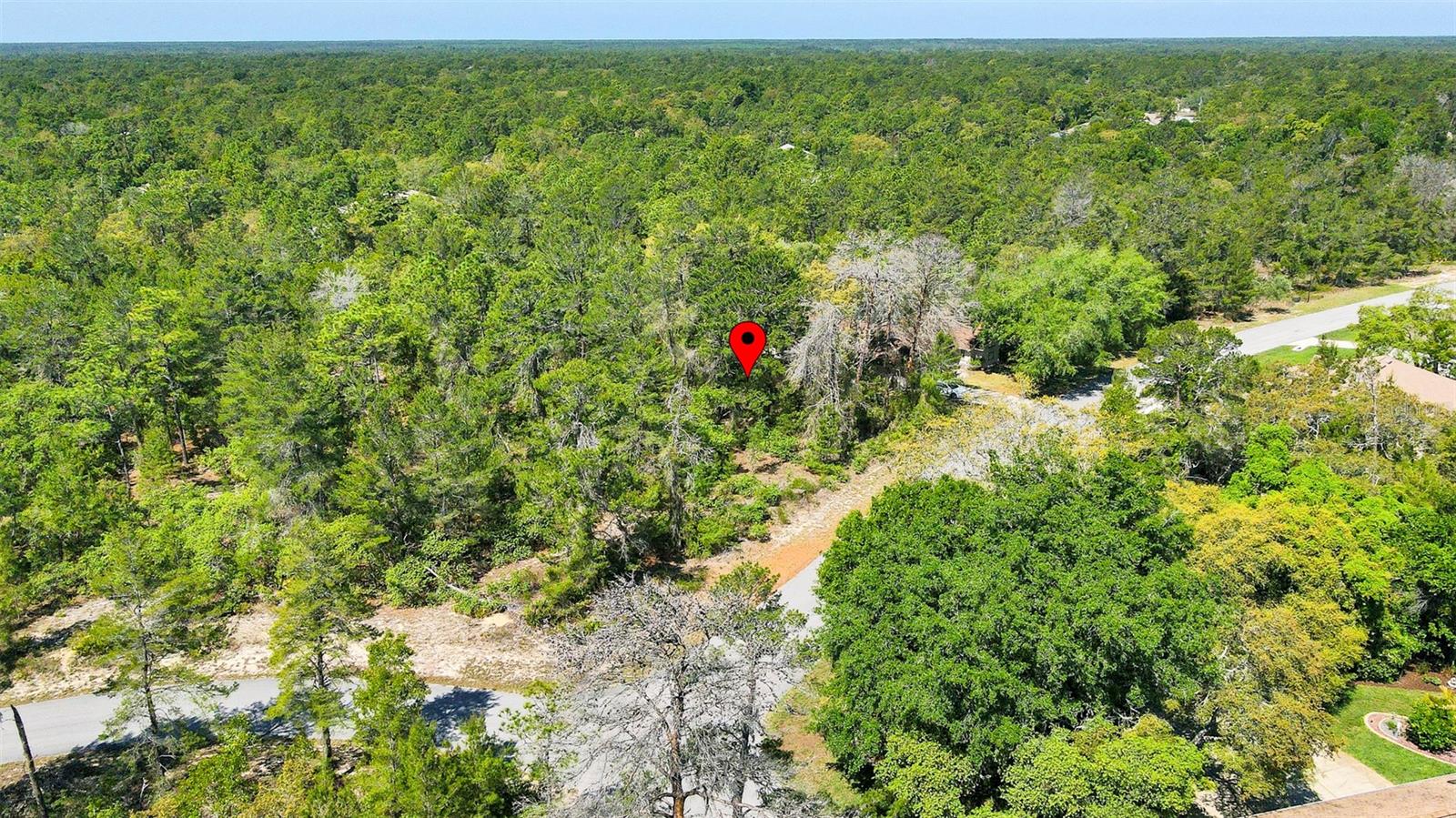 14 HEUCHERA CT E, HOMOSASSA, FL, 34446