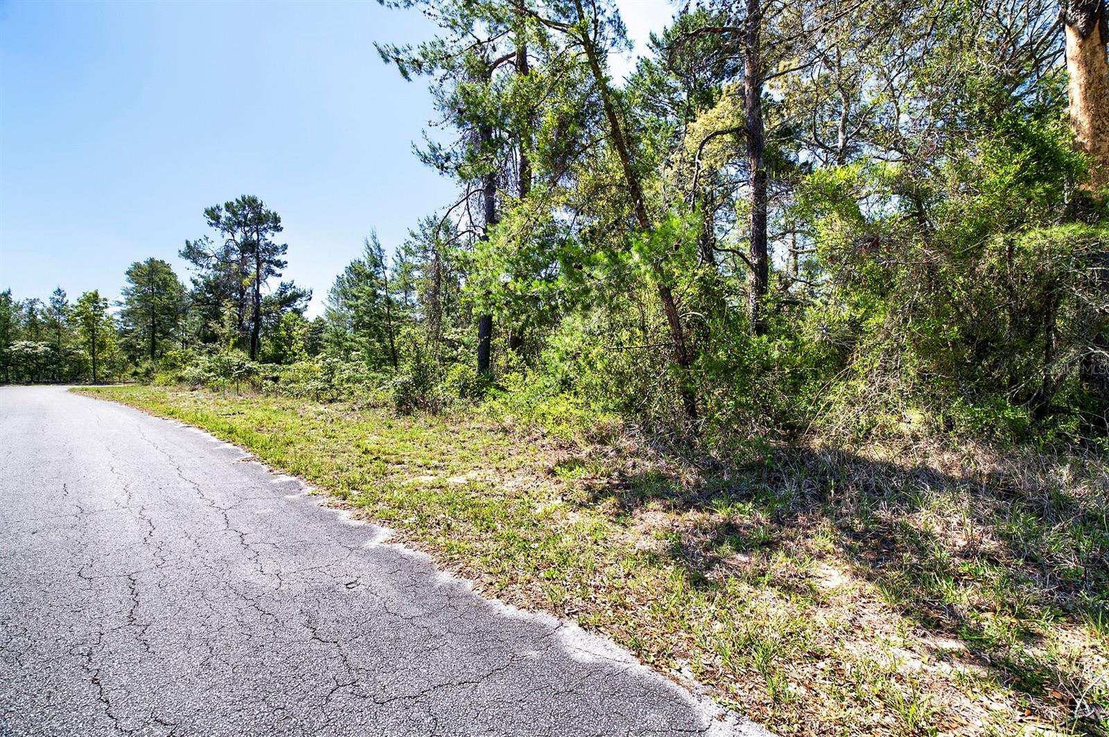 14 HEUCHERA CT E, HOMOSASSA, FL, 34446