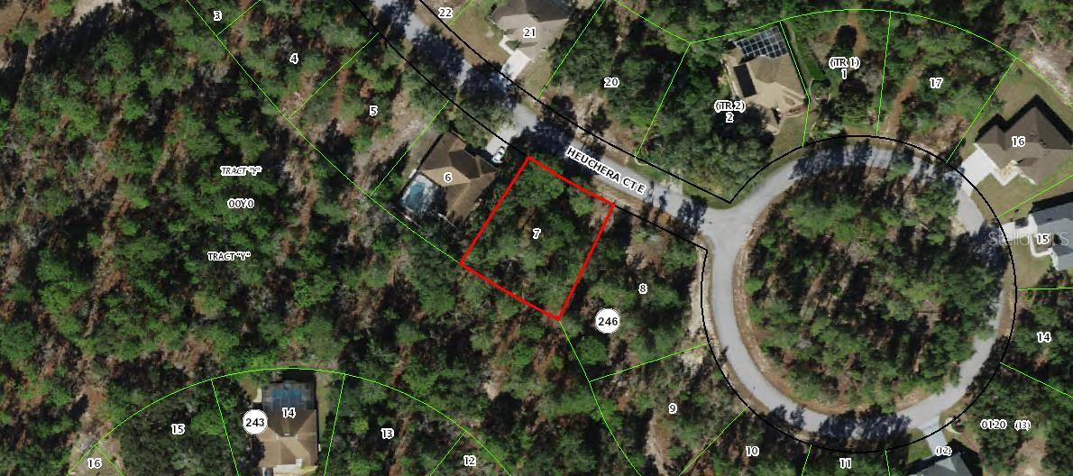 14 HEUCHERA CT E, HOMOSASSA, FL, 34446