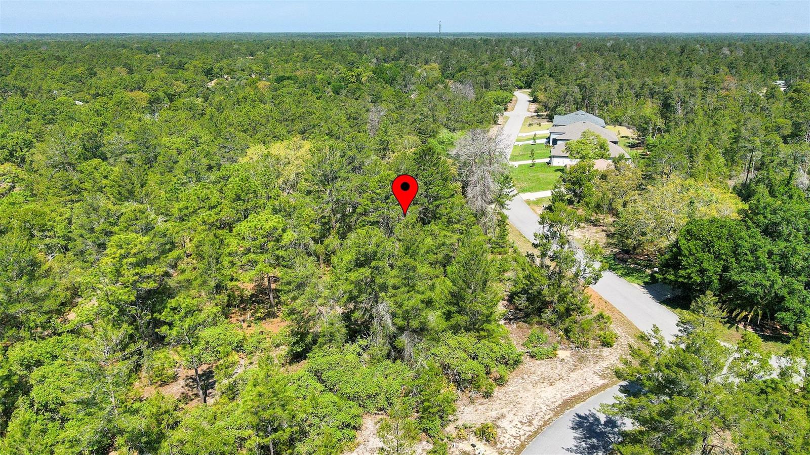 14 HEUCHERA CT E, HOMOSASSA, FL, 34446