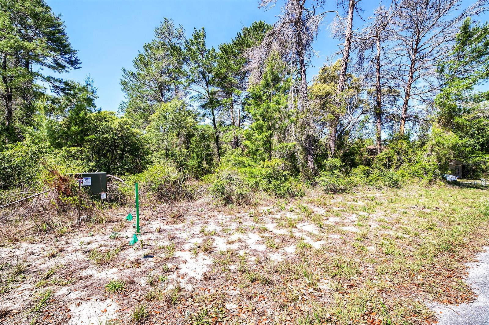 14 HEUCHERA CT E, HOMOSASSA, FL, 34446