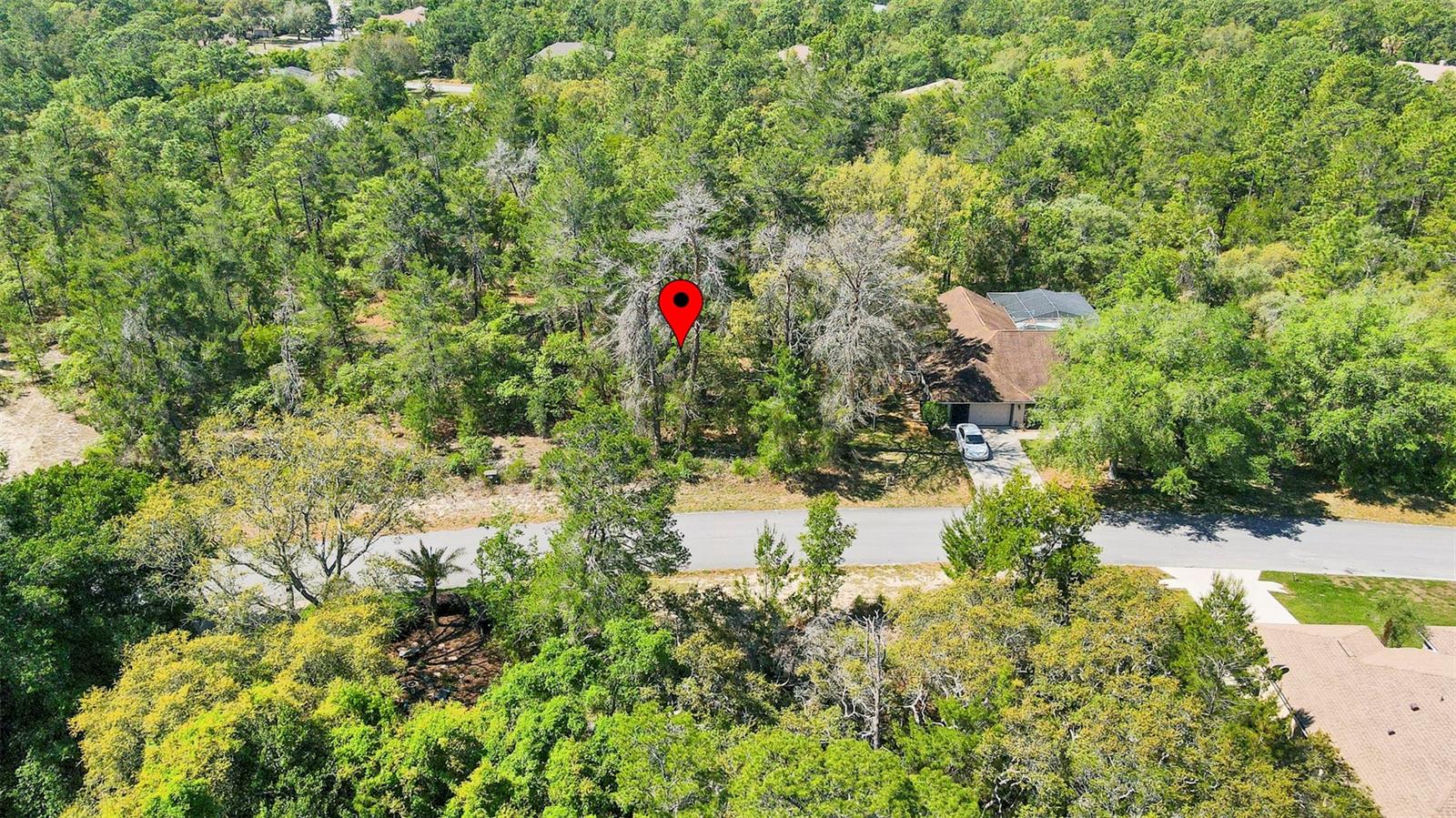 14 HEUCHERA CT E, HOMOSASSA, FL, 34446