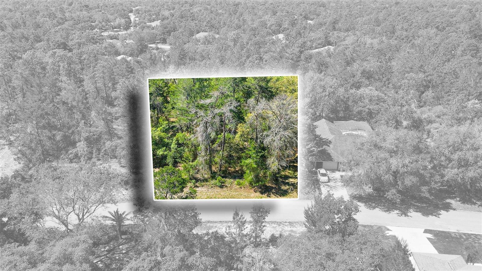 14 HEUCHERA CT E, HOMOSASSA, FL, 34446