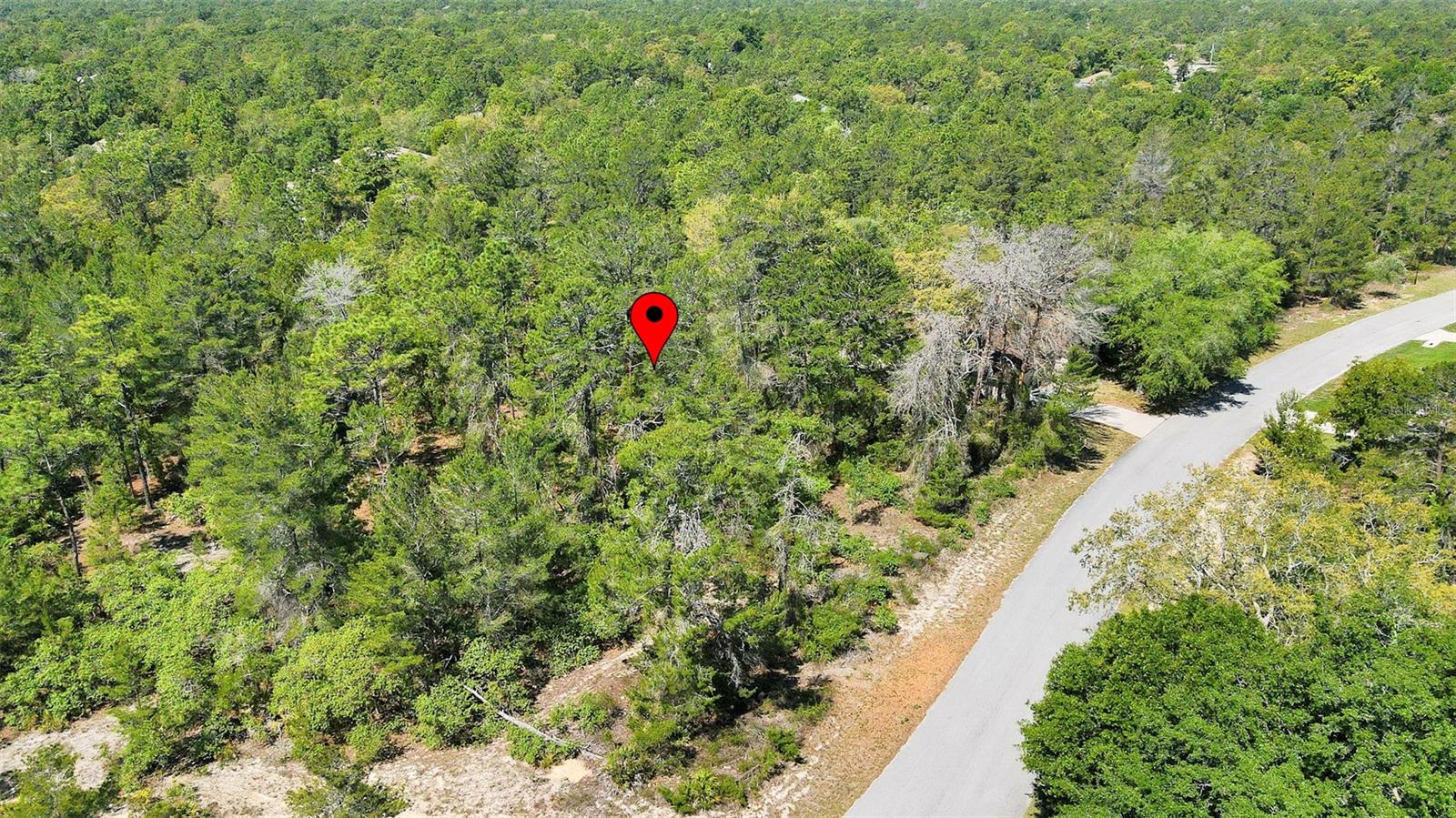 14 HEUCHERA CT E, HOMOSASSA, FL, 34446