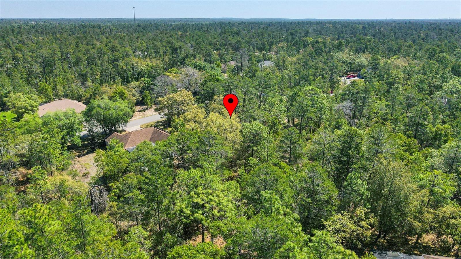 14 HEUCHERA CT E, HOMOSASSA, FL, 34446