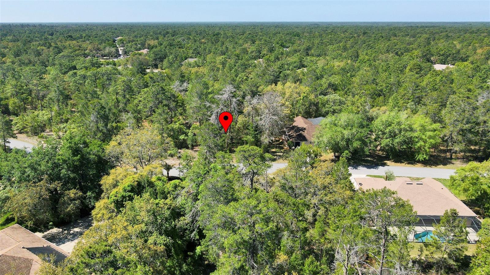 14 HEUCHERA CT E, HOMOSASSA, FL, 34446