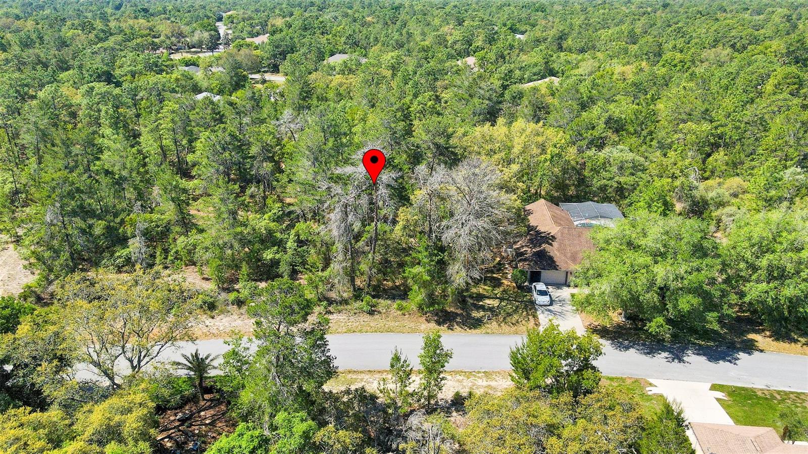 14 HEUCHERA CT E, HOMOSASSA, FL, 34446