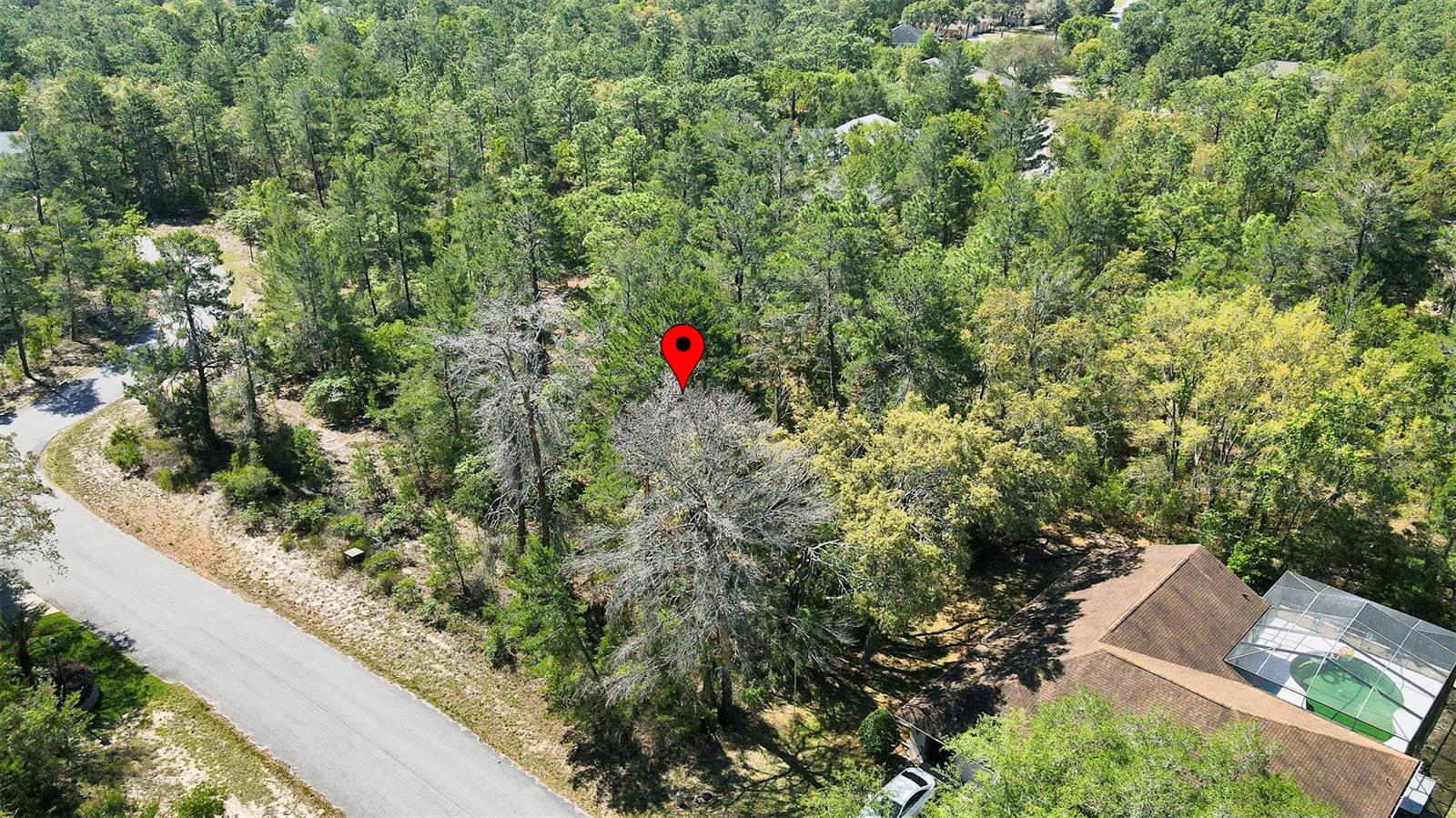 14 HEUCHERA CT E, HOMOSASSA, FL, 34446