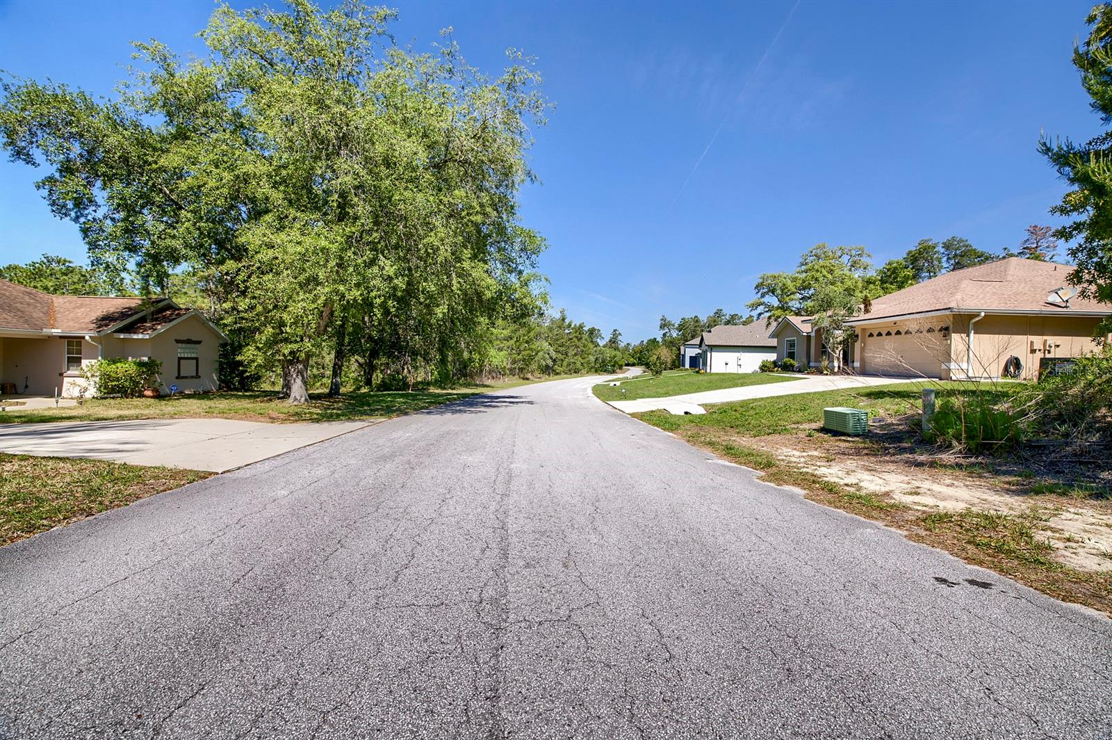 14 HEUCHERA CT E, HOMOSASSA, FL, 34446