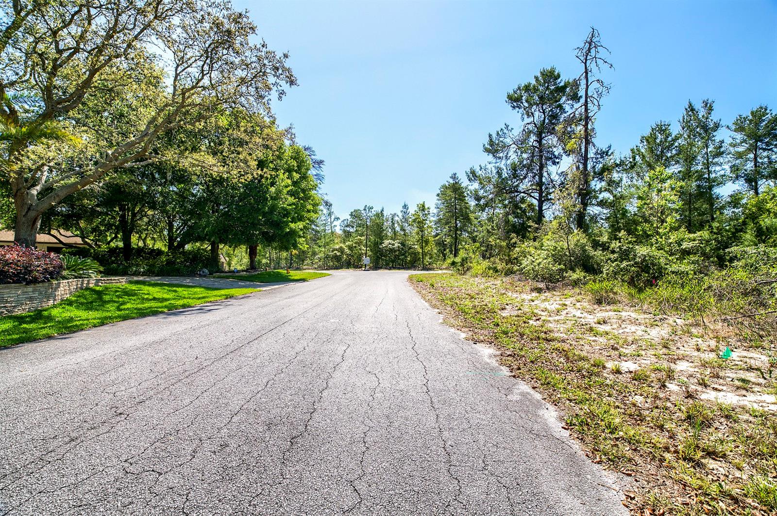 14 HEUCHERA CT E, HOMOSASSA, FL, 34446