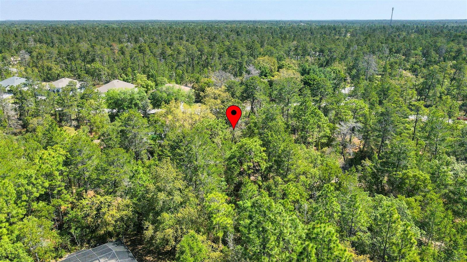 14 HEUCHERA CT E, HOMOSASSA, FL, 34446