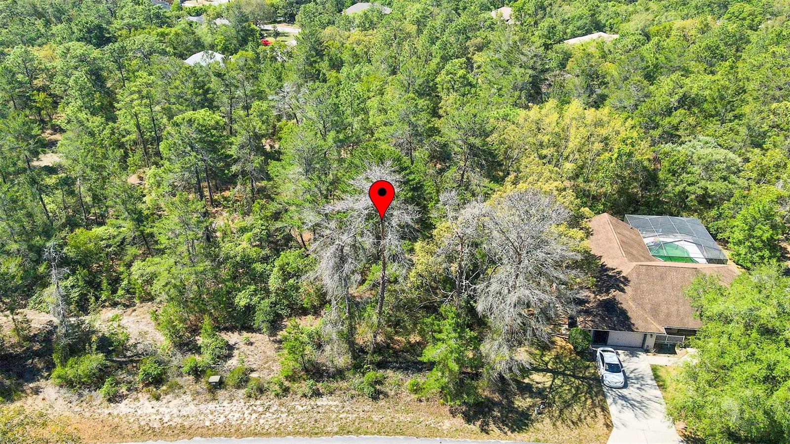 14 HEUCHERA CT E, HOMOSASSA, FL, 34446