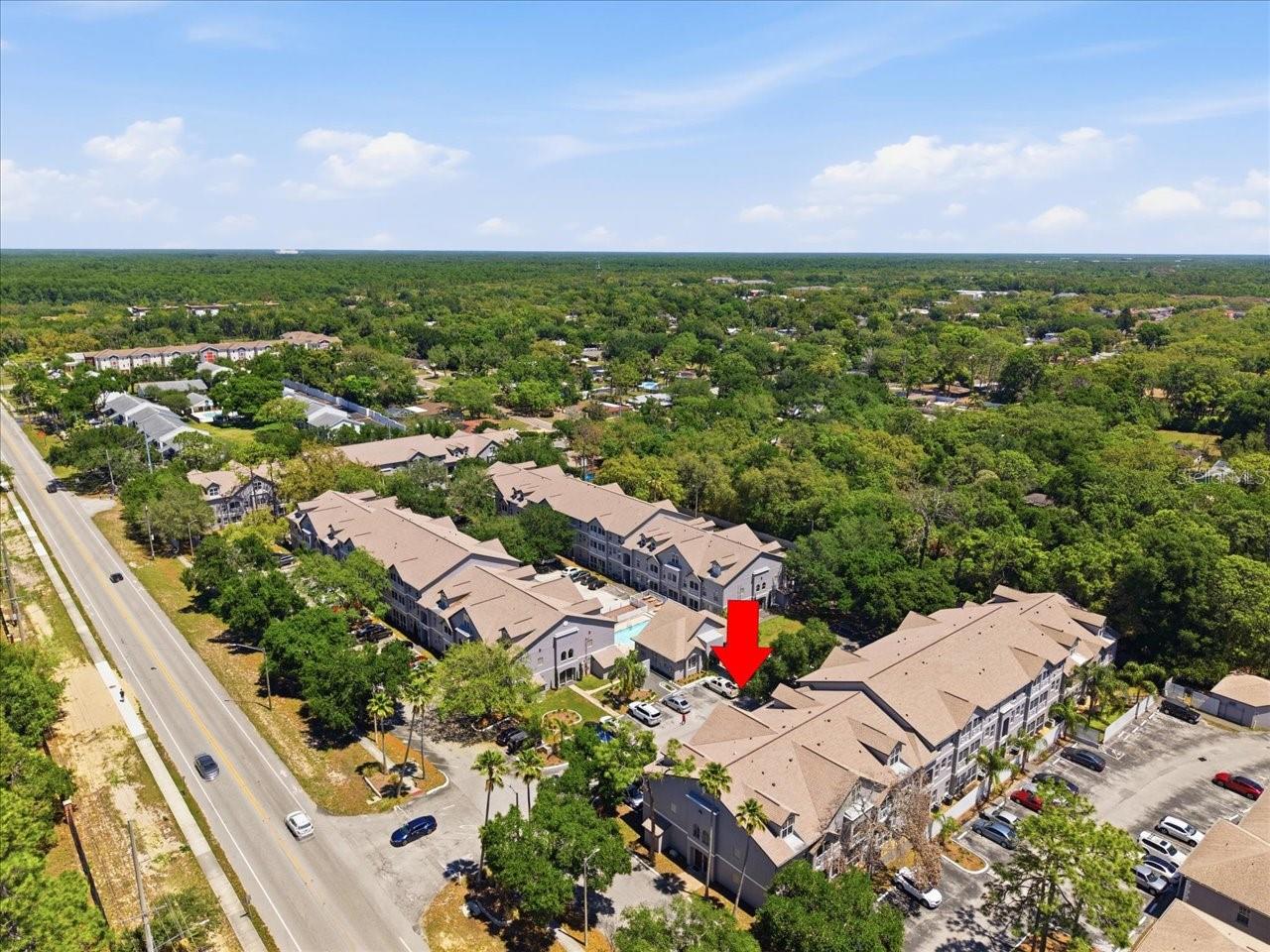 5007 SUNRIDGE PALMS DR, TAMPA, FL, 33617