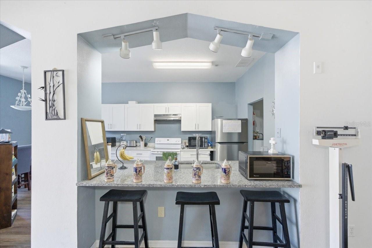 5007 SUNRIDGE PALMS DR, TAMPA, FL, 33617