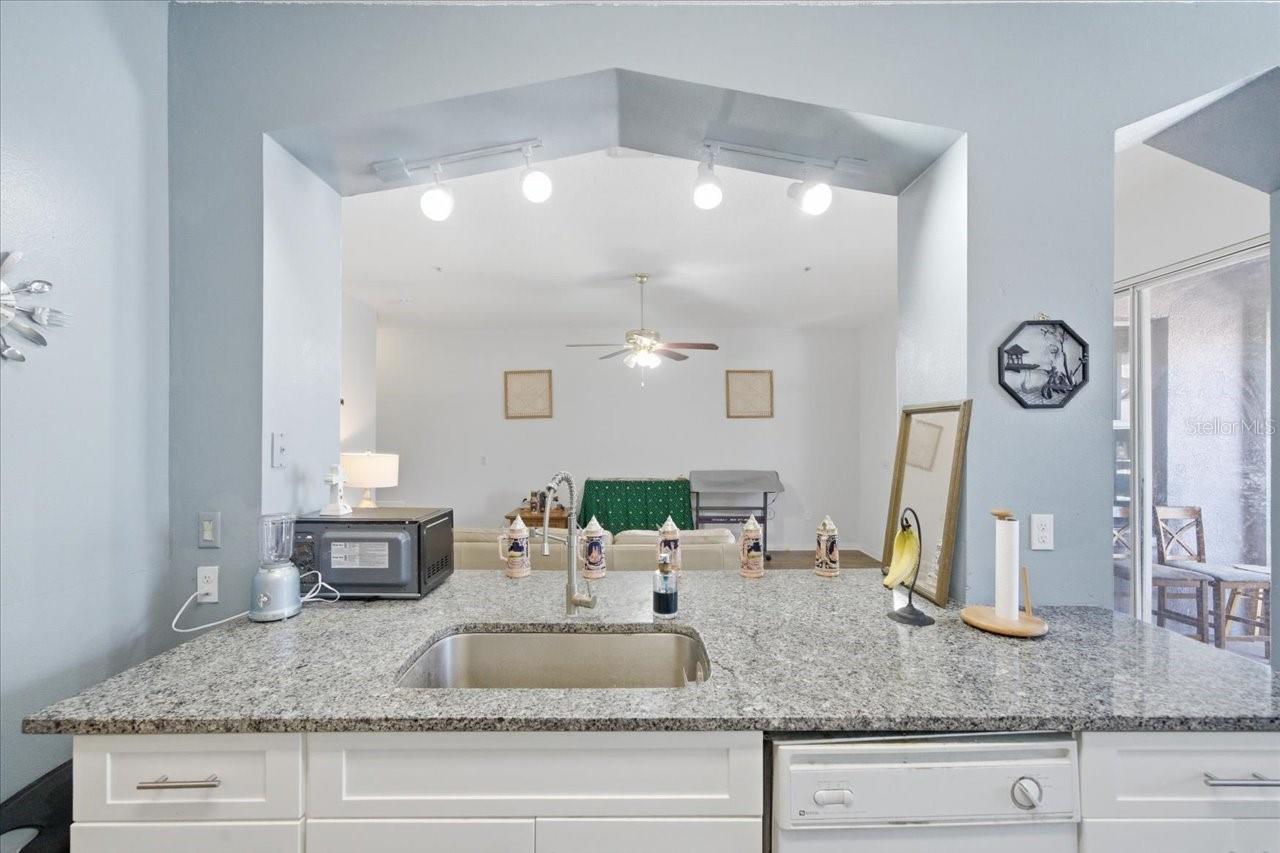 5007 SUNRIDGE PALMS DR, TAMPA, FL, 33617