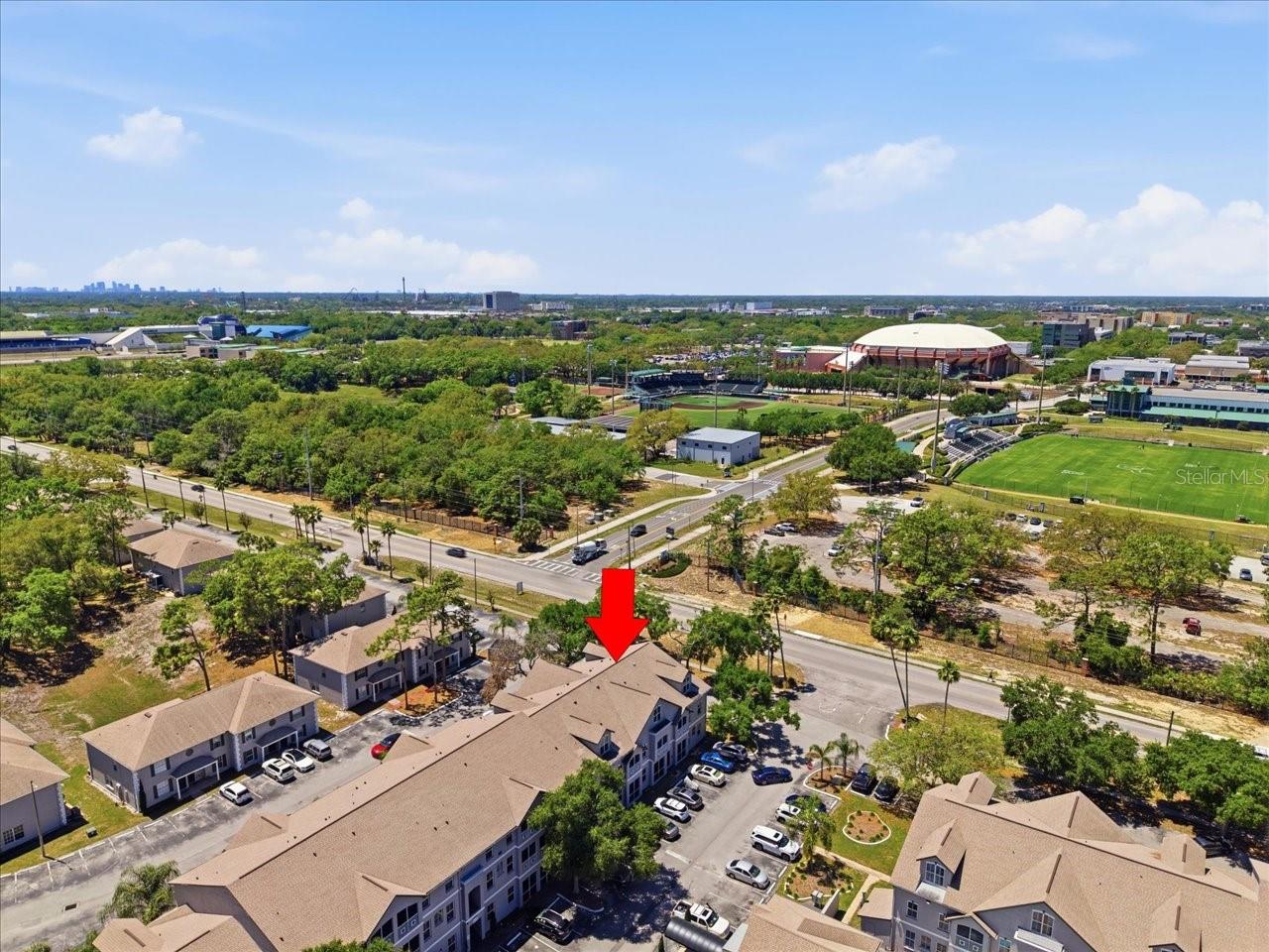 5007 SUNRIDGE PALMS DR, TAMPA, FL, 33617