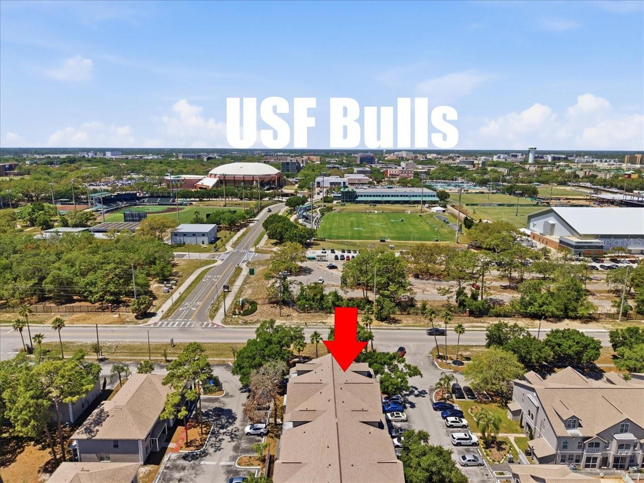 5007 SUNRIDGE PALMS DR, TAMPA, FL, 33617