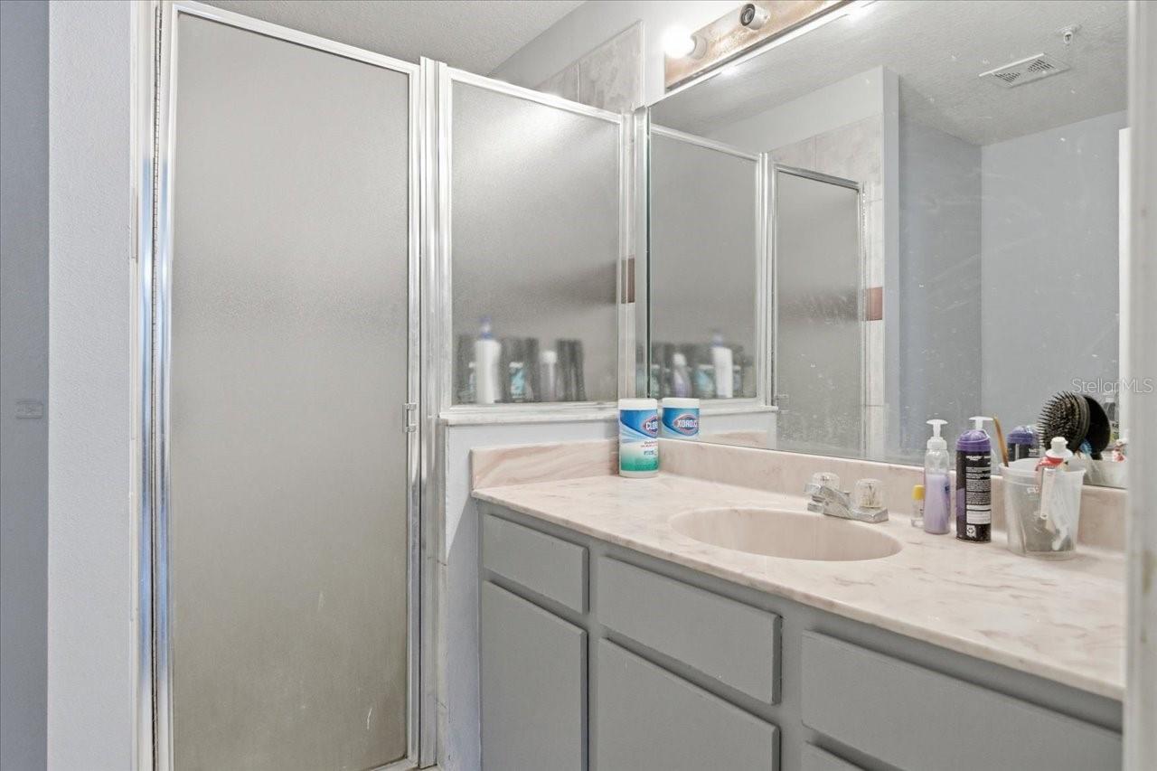 5007 SUNRIDGE PALMS DR, TAMPA, FL, 33617