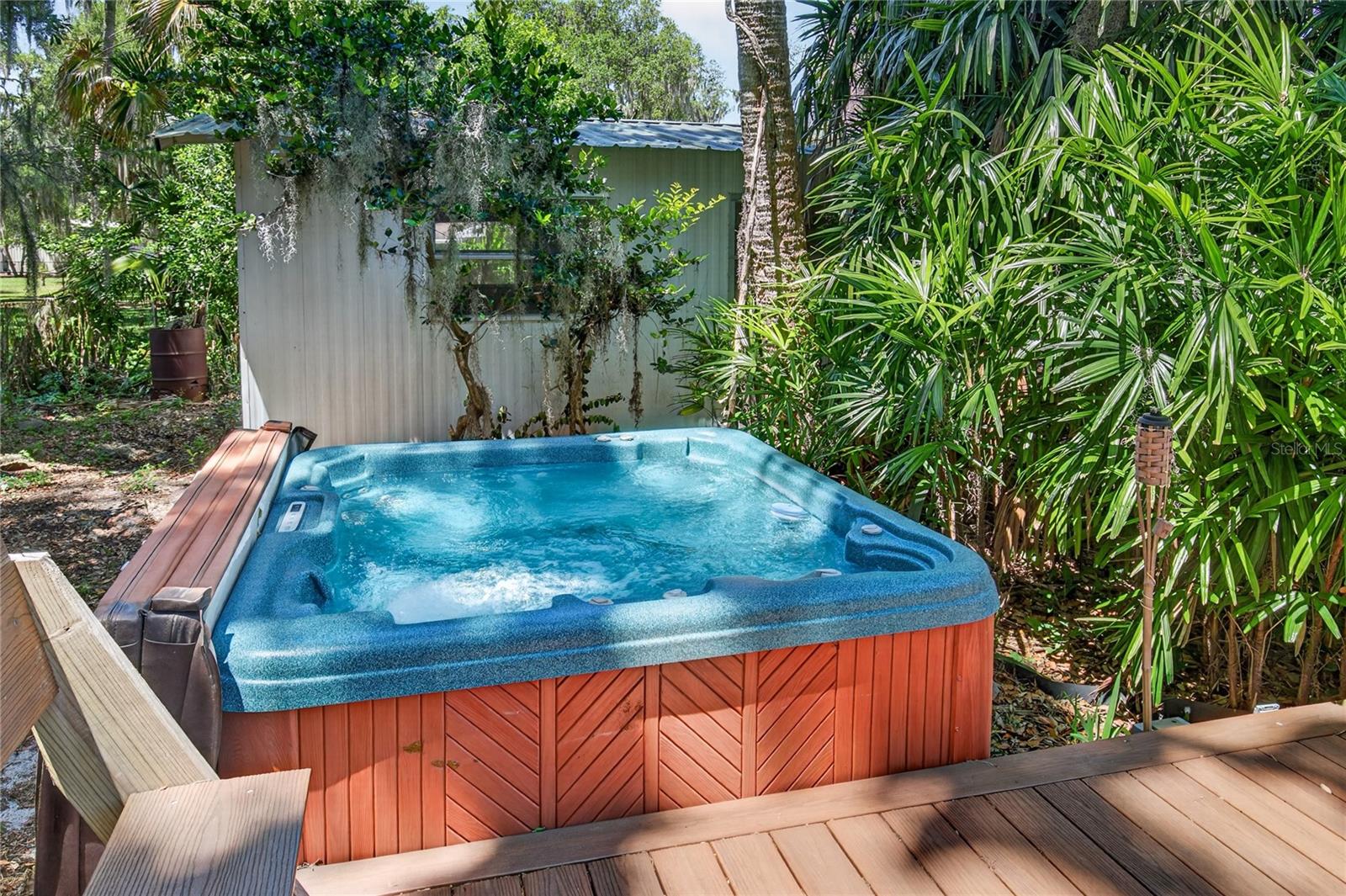 719 W NELSON ST, TAVARES, FL, 32778